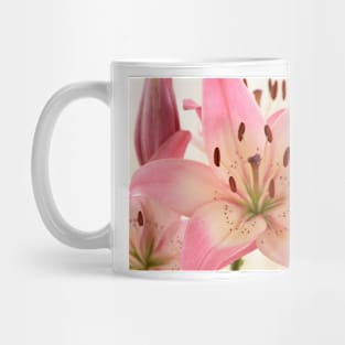 Lilium  &#39;Rosella&#39;s Dream&#39;  Asiatic lily Mug